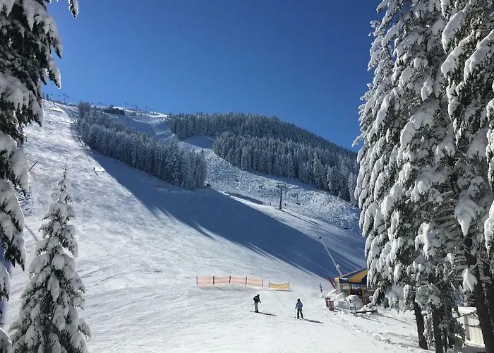 ★ Chic & Elegant 1 Bedroom In Eagle's Nest Complex ★ Close To Gondola And Bar Street *